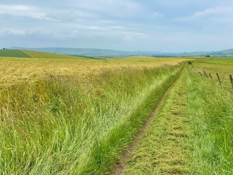 South Downs Way. Image © PlanetSKI